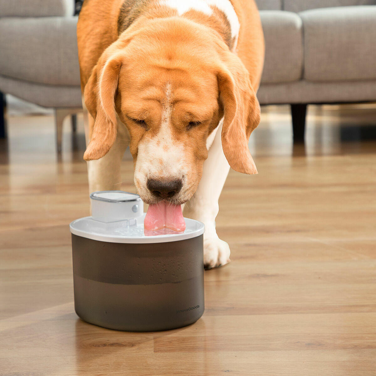 Fuente para Perros y Gatos Recargable con Sensor Refopet InnovaGoods