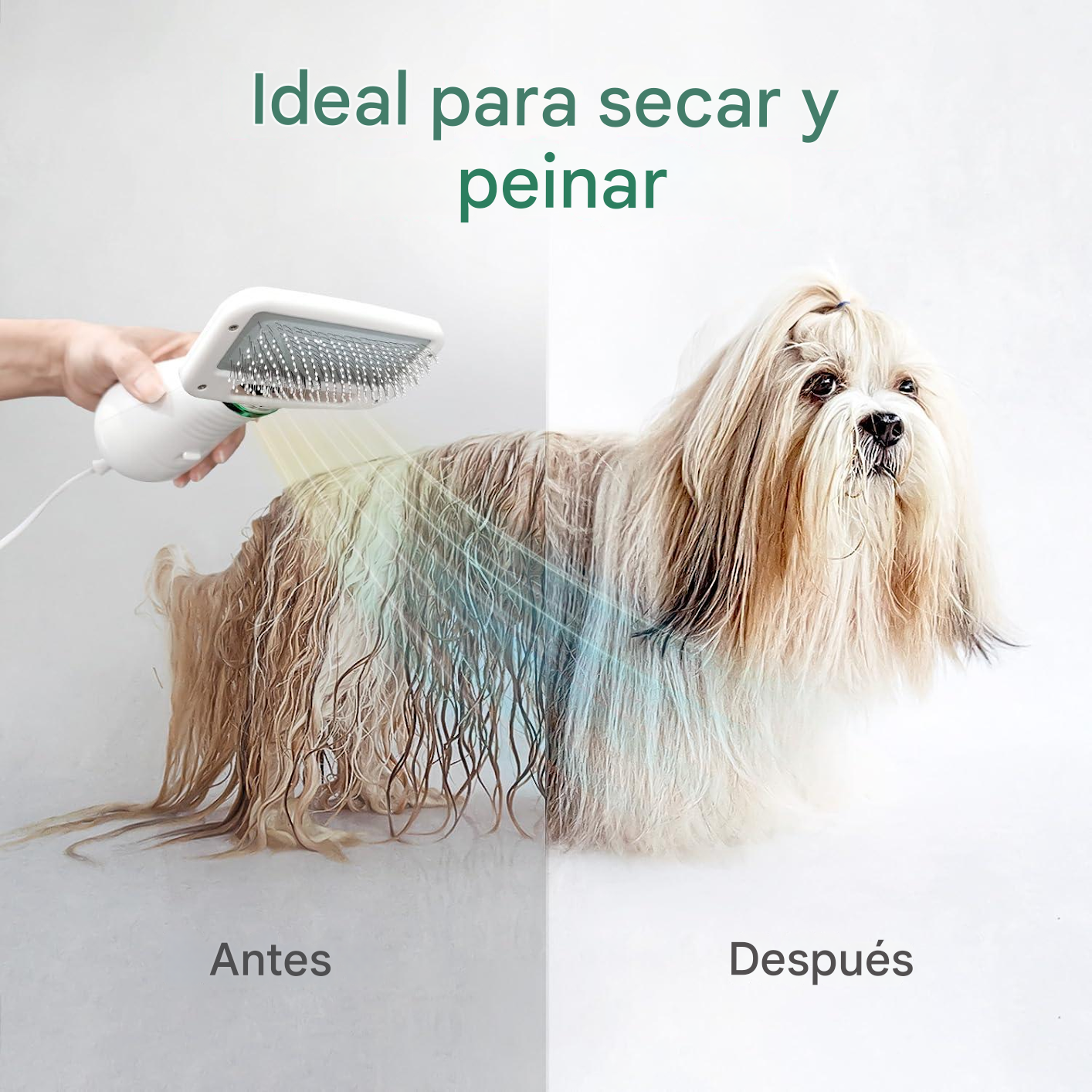 Secador-Cepillo para Mascotas 2 en 1 | Cuidado y Secado Rápido - Portátil y Eficiente